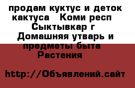 продам куктус и деток кактуса - Коми респ., Сыктывкар г. Домашняя утварь и предметы быта » Растения   